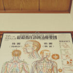経絡指圧 ©増永静人先生