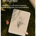 これがたぶん最後の恋(だといいな)