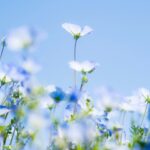パーキンソン病というむずかしい病気