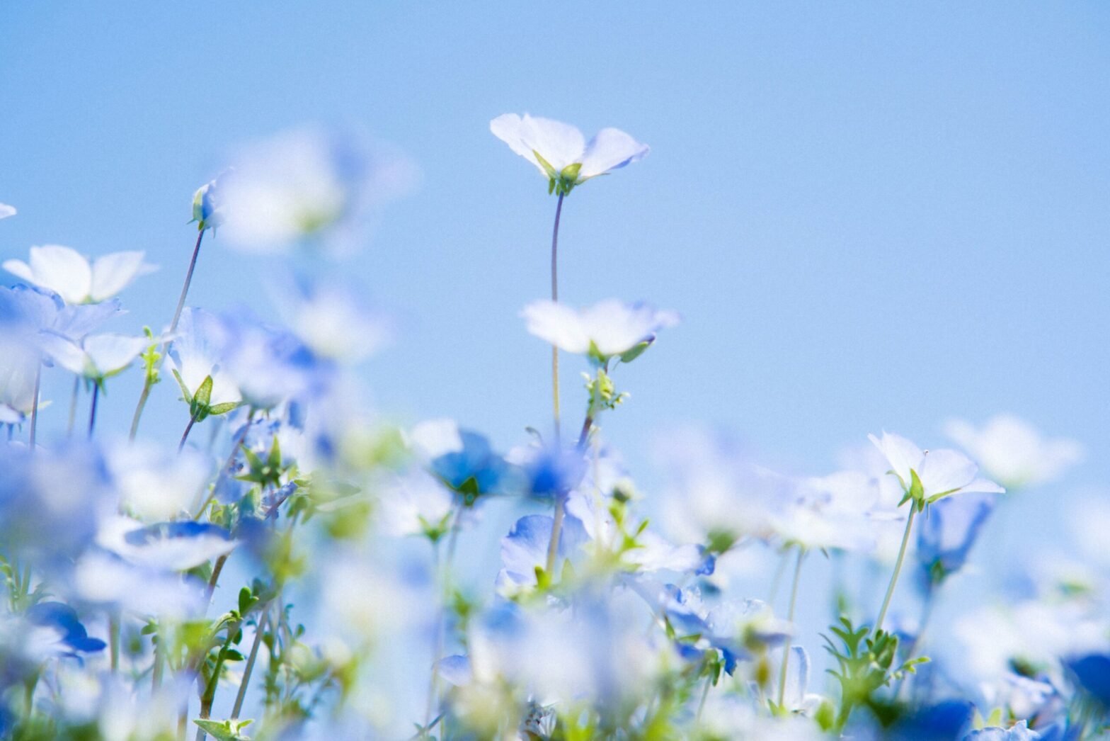 パーキンソン病というむずかしい病気